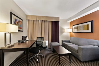 Standard Room, 1 King Bed, Non Smoking, Refrigerator & Microwave (with Single Sofabed)
