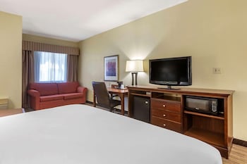 Room, 1 King Bed, Non Smoking