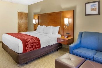 Room, 1 King Bed, Non Smoking