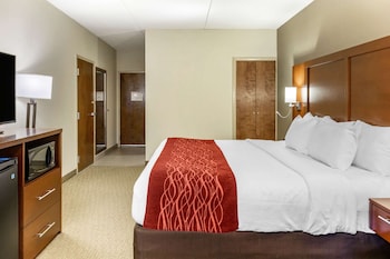 Room, 1 King Bed, Non Smoking
