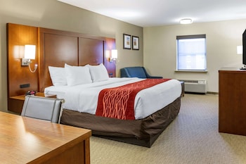 Standard Room, 1 King Bed with Sofa bed, Non Smoking