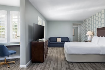 Executive Suite, 1 Bedroom