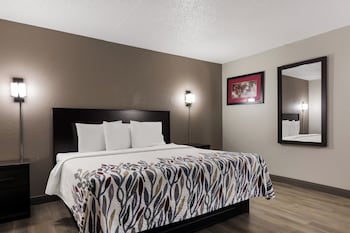 Standard Room, 1 King Bed, Accessible, Smoking