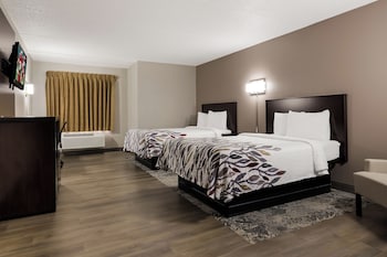 Deluxe Room, 2 Double Beds, Smoking