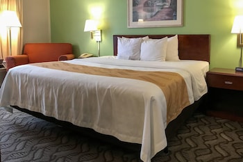 Room, 1 King Bed, Smoking