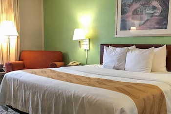 Room, 1 King Bed, Smoking