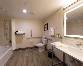 Standard Room, 1 King Bed, Accessible Bathtub (Accessible Tub)