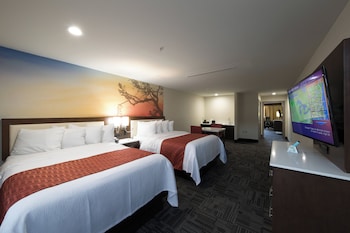 Suite, 1 Bedroom