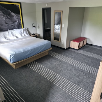 Room, 1 King Bed, Non Smoking