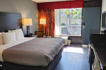 Room, 1 King Bed, Accessible, Non Smoking