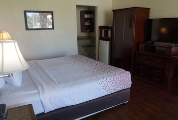 Standard Room, 1 Queen Bed, Mobility Accessible, Non Smoking