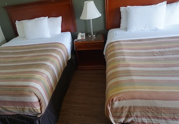 Standard Room, 2 Double Beds, Non Smoking, Park View