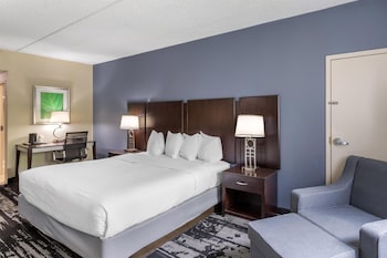 Standard Room, 1 King Bed, Non Smoking, Refrigerator & Microwave