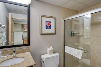 Standard Room, 1 King Bed, Non Smoking, Refrigerator & Microwave (with Single Sofabed)