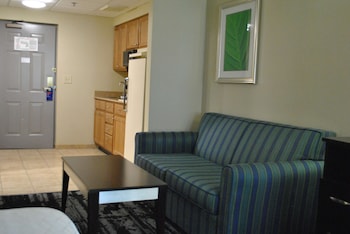 Standard Room, 1 King Bed, Non Smoking, Refrigerator & Microwave (with Single Sofabed)