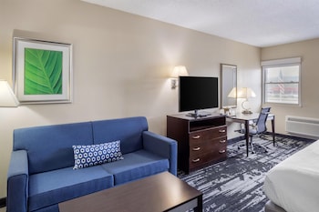 Standard Room, 1 King Bed, Non Smoking, Refrigerator & Microwave (with Single Sofabed)