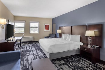 Standard Room, 1 King Bed, Non Smoking, Refrigerator & Microwave (with Single Sofabed)