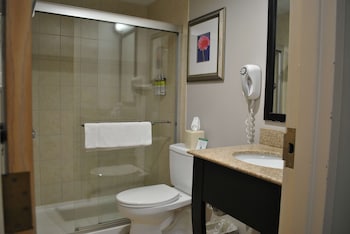 Standard Room, 1 King Bed, Non Smoking, Refrigerator & Microwave
