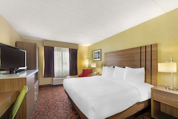 Standard Room, 1 King Bed, Accessible, Non Smoking