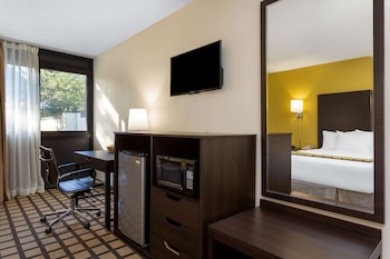 Room, 1 King Bed, Non Smoking