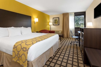 Room, 1 King Bed, Non Smoking