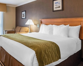Suite, 1 King Bed, Non Smoking
