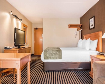 Standard Room, 1 Queen Bed, Non Smoking
