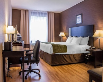 Room, 1 King Bed, Non Smoking