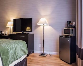 Room, 1 King Bed, Non Smoking