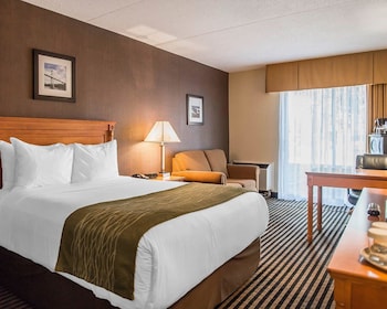 Standard Room, 1 Queen Bed, Non Smoking