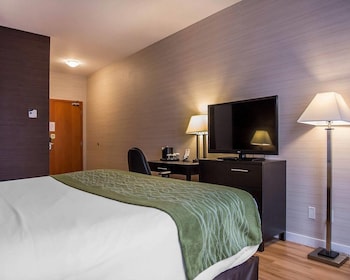 Room, 1 King Bed, Non Smoking