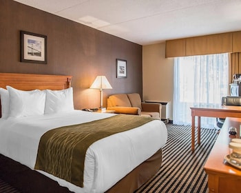 Standard Room, 1 Queen Bed, Non Smoking