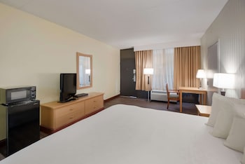 Standard Room, 1 King Bed, Accessible, Bathtub