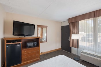 Standard Room, 1 Double Bed, Non Smoking, Refrigerator & Microwave (Pet Friendly)