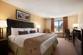 Studio Suite, 1 King Bed, Non Smoking