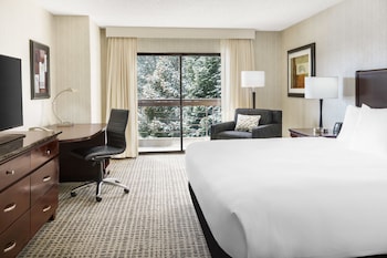 Room, 1 King Bed, Accessible, Non Smoking