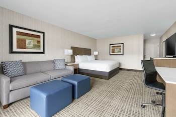 Room, 1 King Bed with Sofa bed, Refrigerator