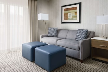 Room, 1 King Bed with Sofa bed, Refrigerator