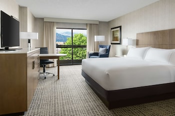 Room, 1 King Bed