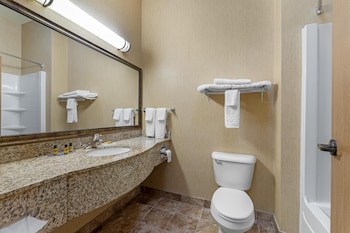 Standard Room, 1 King Bed, Non Smoking, Refrigerator & Microwave