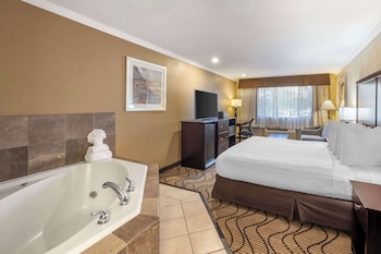 Standard Room, 1 King Bed, Non Smoking, Jetted Tub (with Sofabed)