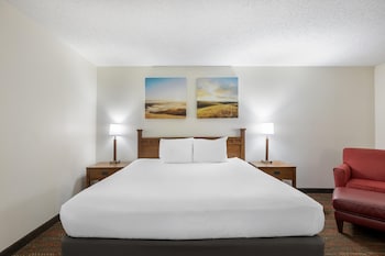 Standard Room, 1 King Bed, Non Smoking (2nd Floor)