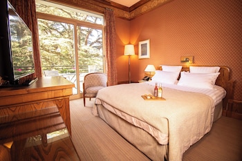 Comfort Double Room, 1 Double Bed