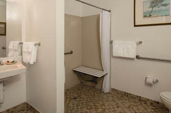 Room, 1 Queen Bed, Roll-in Shower