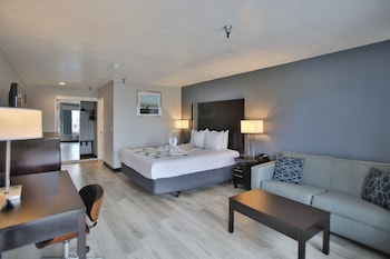 Standard Room, 1 King Bed, Non Smoking, Refrigerator