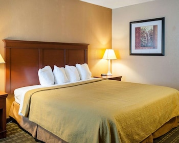 Standard Room, 1 King Bed, Non Smoking