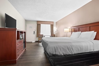 Standard Room, 1 King Bed, Non Smoking