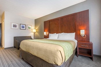 Room, 1 King Bed
