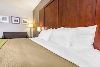 Room, 1 King Bed