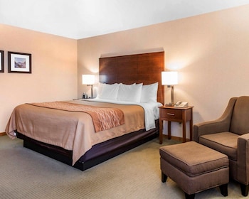 Standard Room, 1 King Bed, Non Smoking